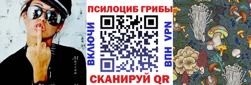 Псилоцибиновые грибы мицелий  Приморск 